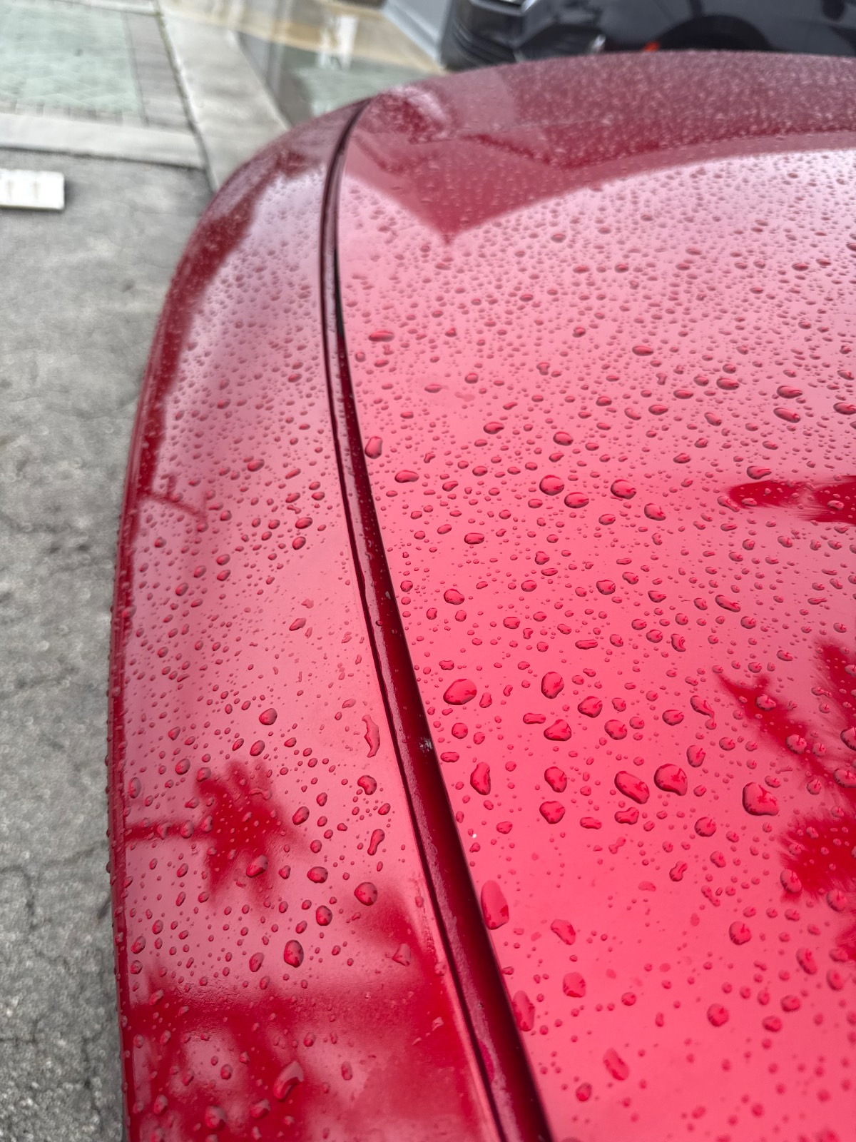 Repainted / repaired panel · Front bumper, Left front fender 4