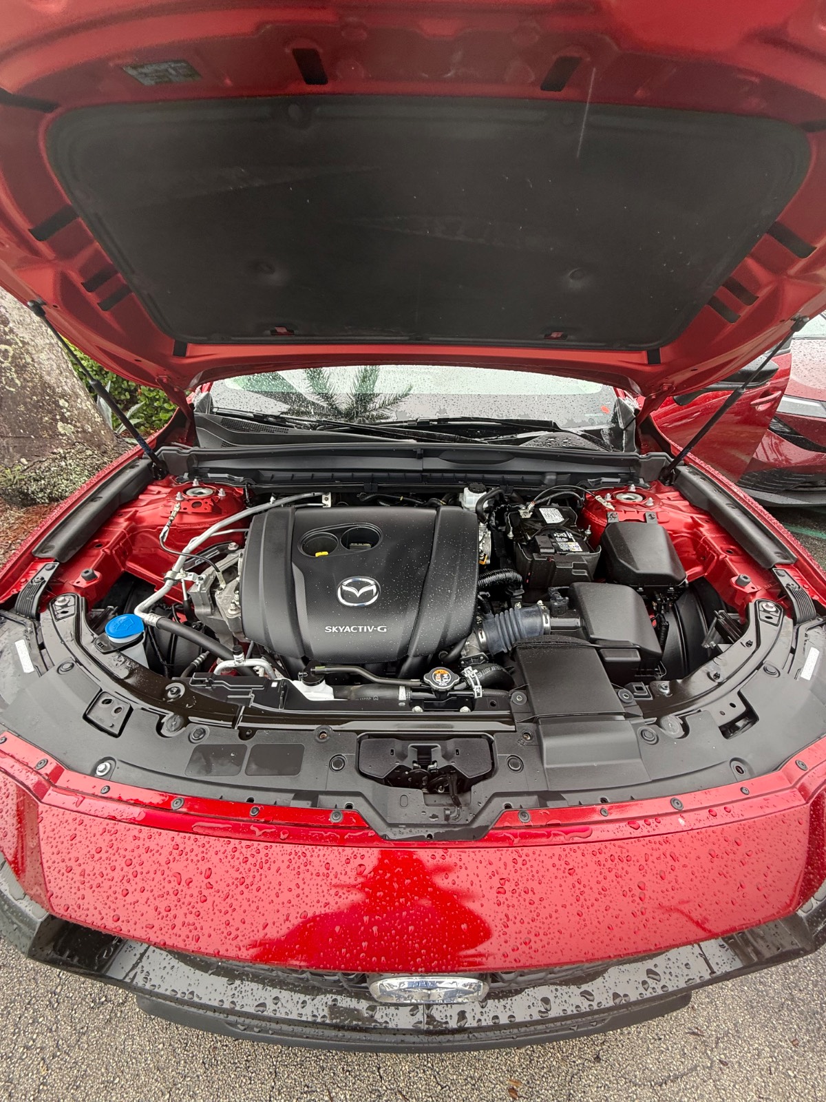 2024 Mazda CX-50 Photo 11